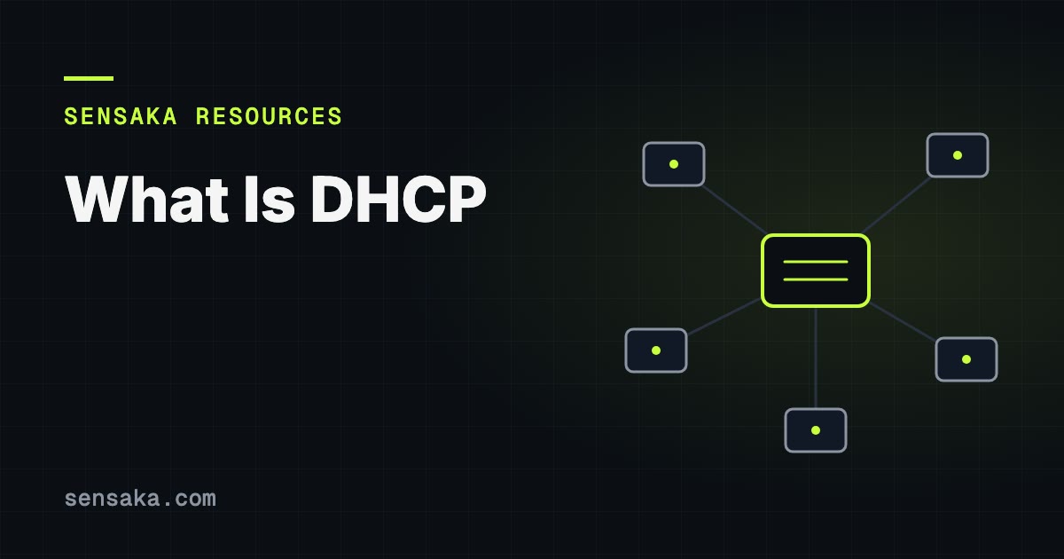 What Is DHCP? Dynamic Host Configuration Protocol: illustration of a network of linked devices