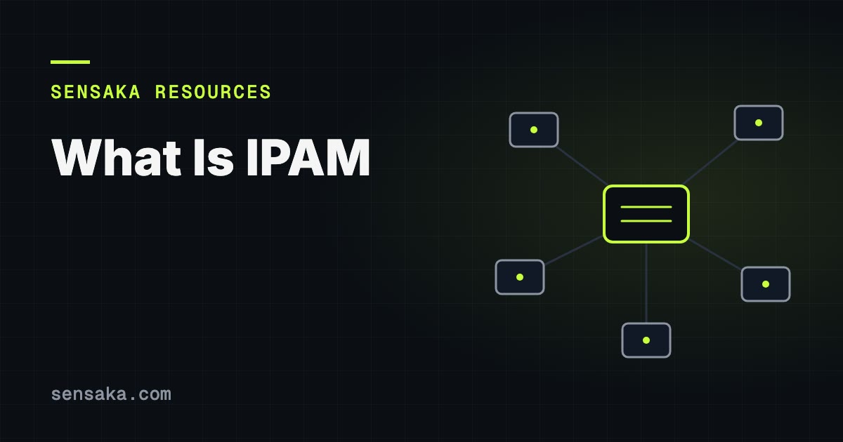 What Is IPAM? IP Address Management Explained: illustration of a network of linked devices