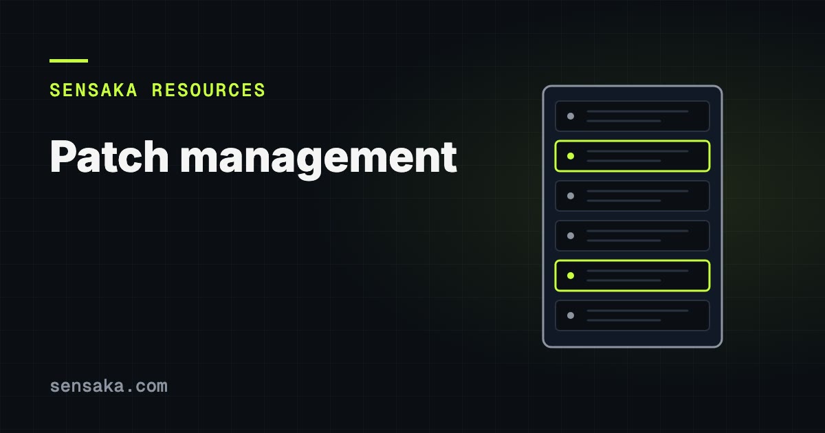 What Is Patch Management? Software & Firmware: illustration of a server rack with status lights